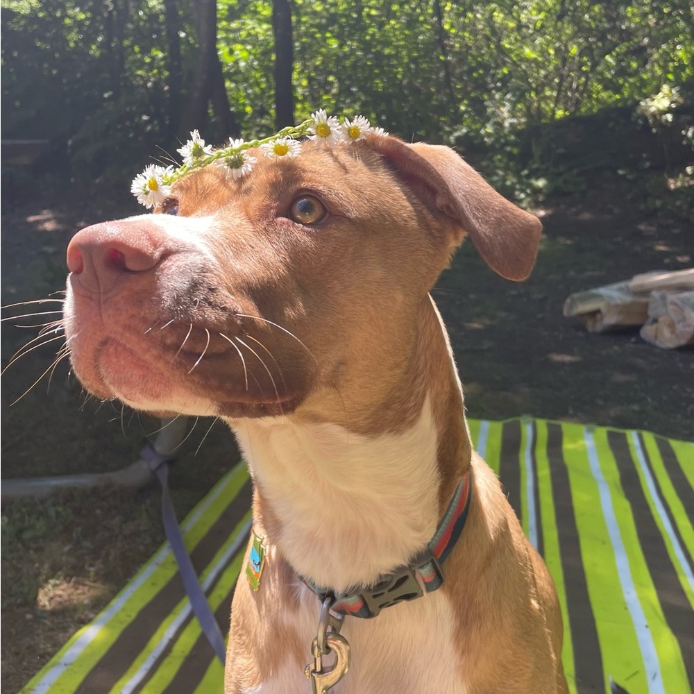 Meet your Posher, Michele